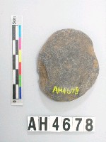 藏品(中砝碼型石網墜)的圖片